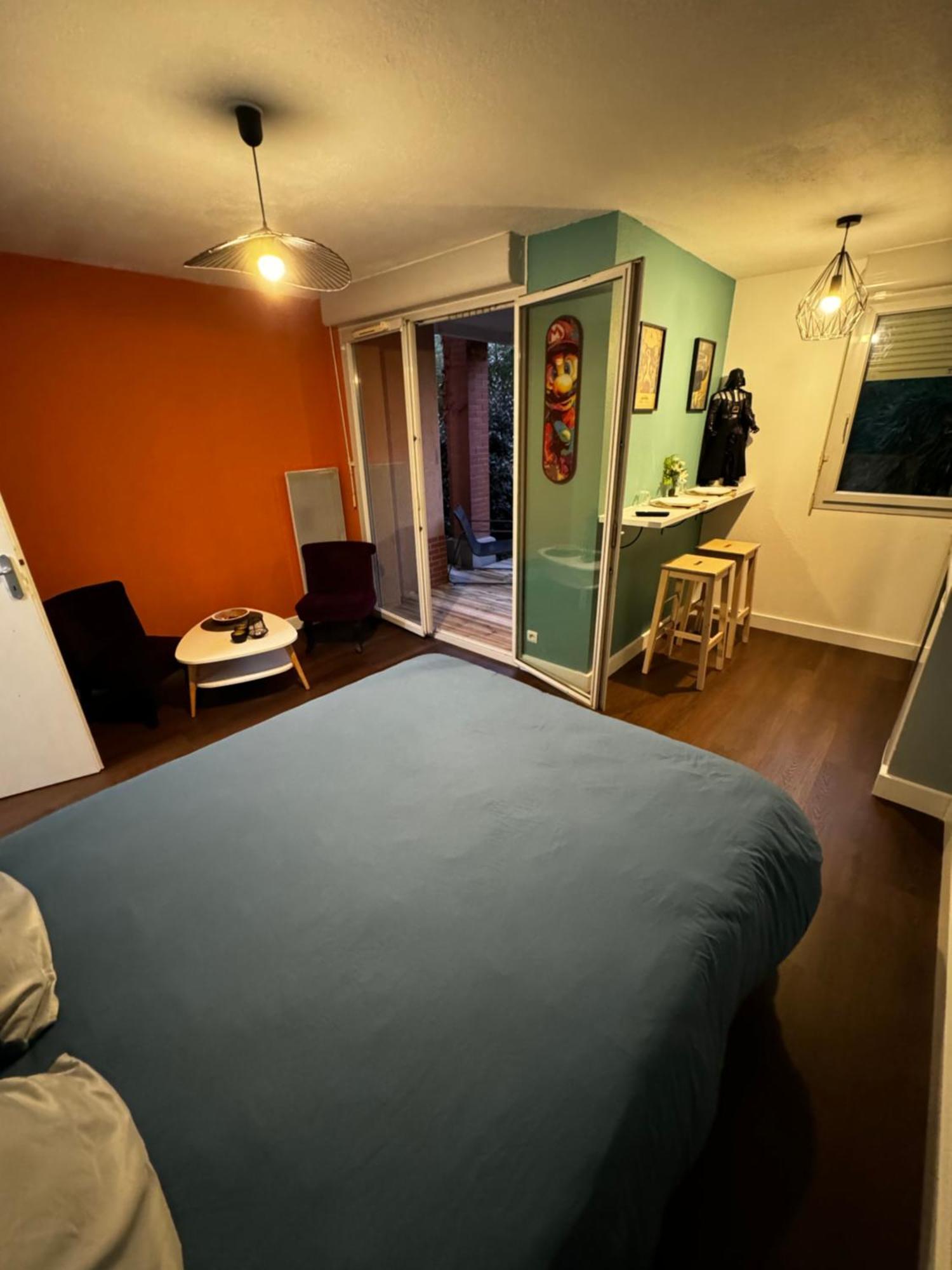 トゥールーズLe Loft Geekアパートメント エクステリア 写真